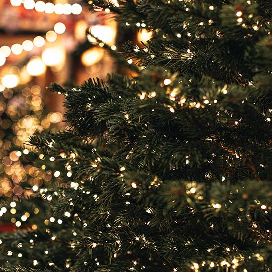 PX9604 Member Access Landing Pages-Kids_Holiday_Tree1-v2