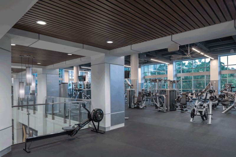 Dowd-Fitness-Floor-2