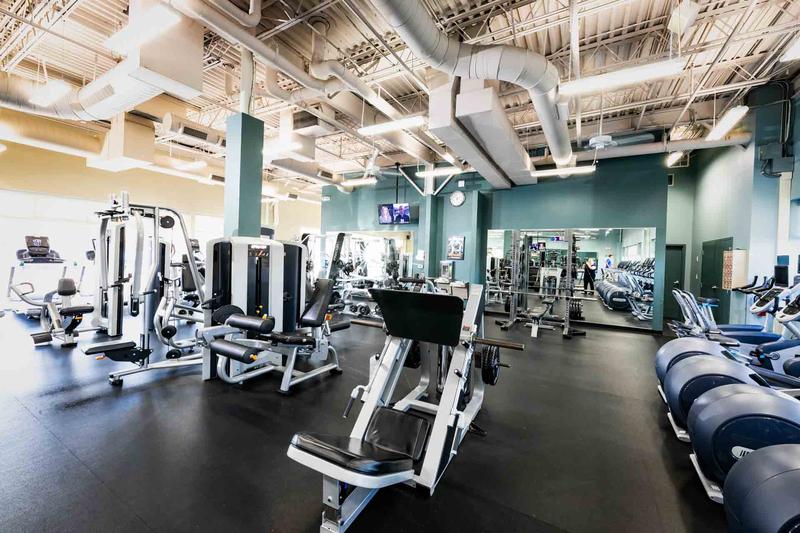 Wesley Chapel YMCA Fitness 4