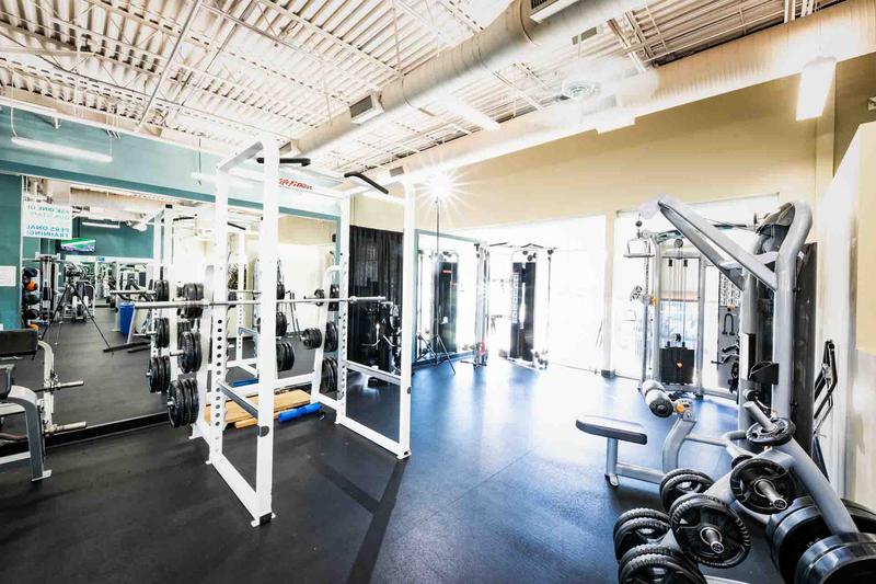 Wesley Chapel YMCA Fitness 2