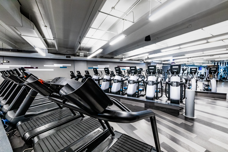 Brace-Main-Fitness-3