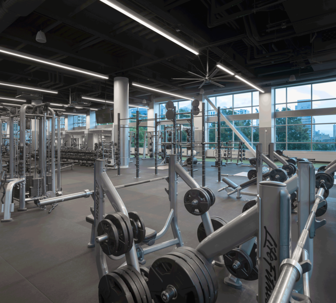 Dowd-Fitness-Floor-4