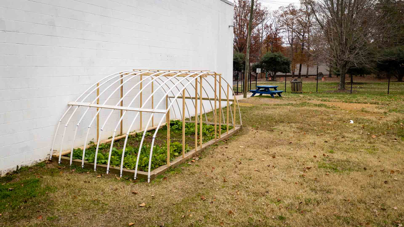 McCrorey YMCA Garden