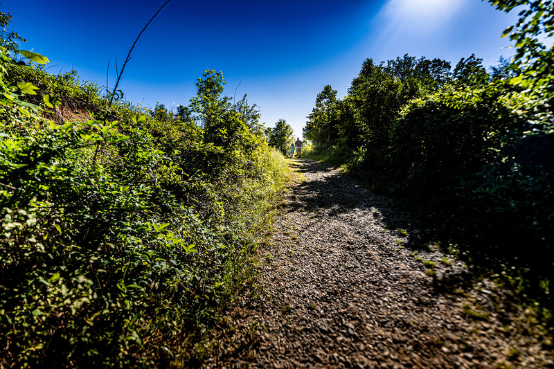 Sallys-_90A3165-edit