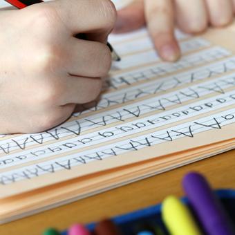 Worksheets & Activity Guides