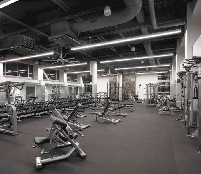 Dowd-Fitness-Floor